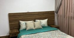 APPARTEMENT MEUBLE F4